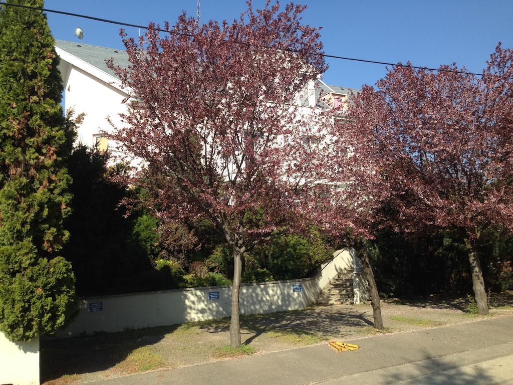 Belle Fleur Panzio Bed & Breakfast Budapesta Exterior foto